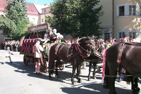 Hofbru Kaltenhausen
